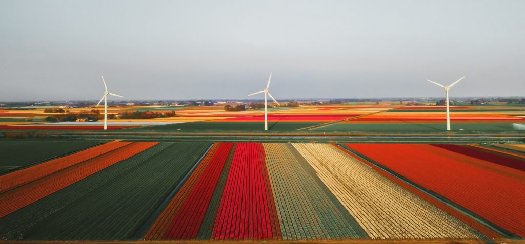 Windmolen Nederland