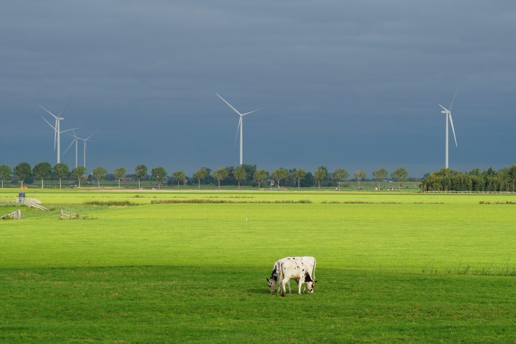 windmolen in nederland